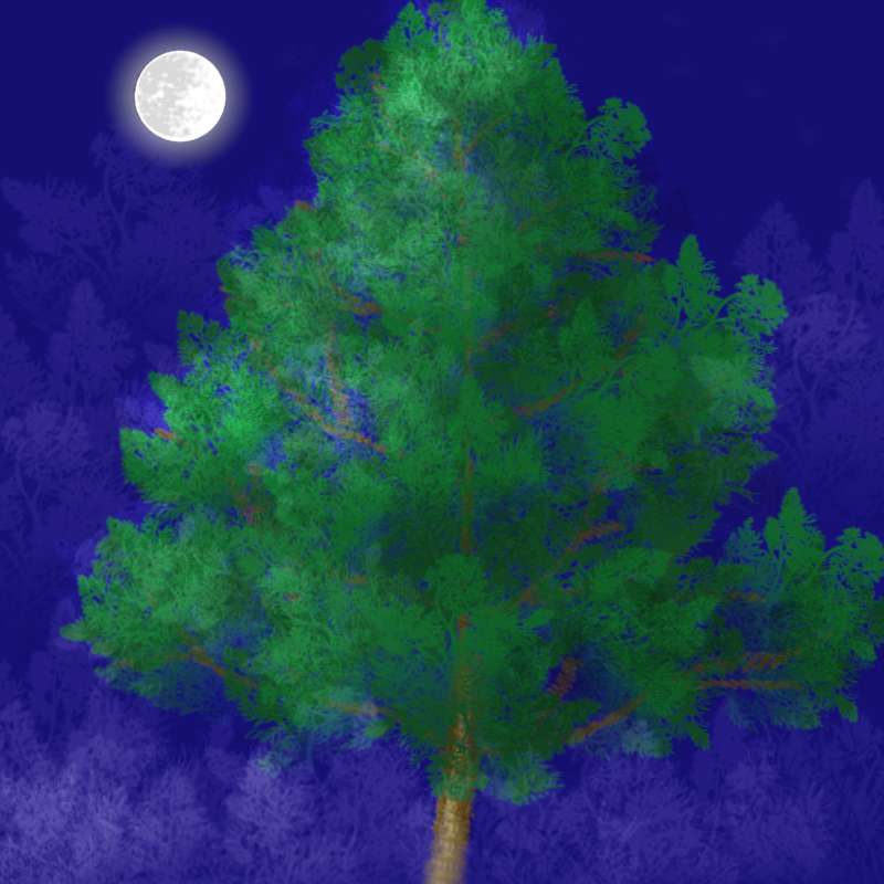 Drzewo nocą puzzle online