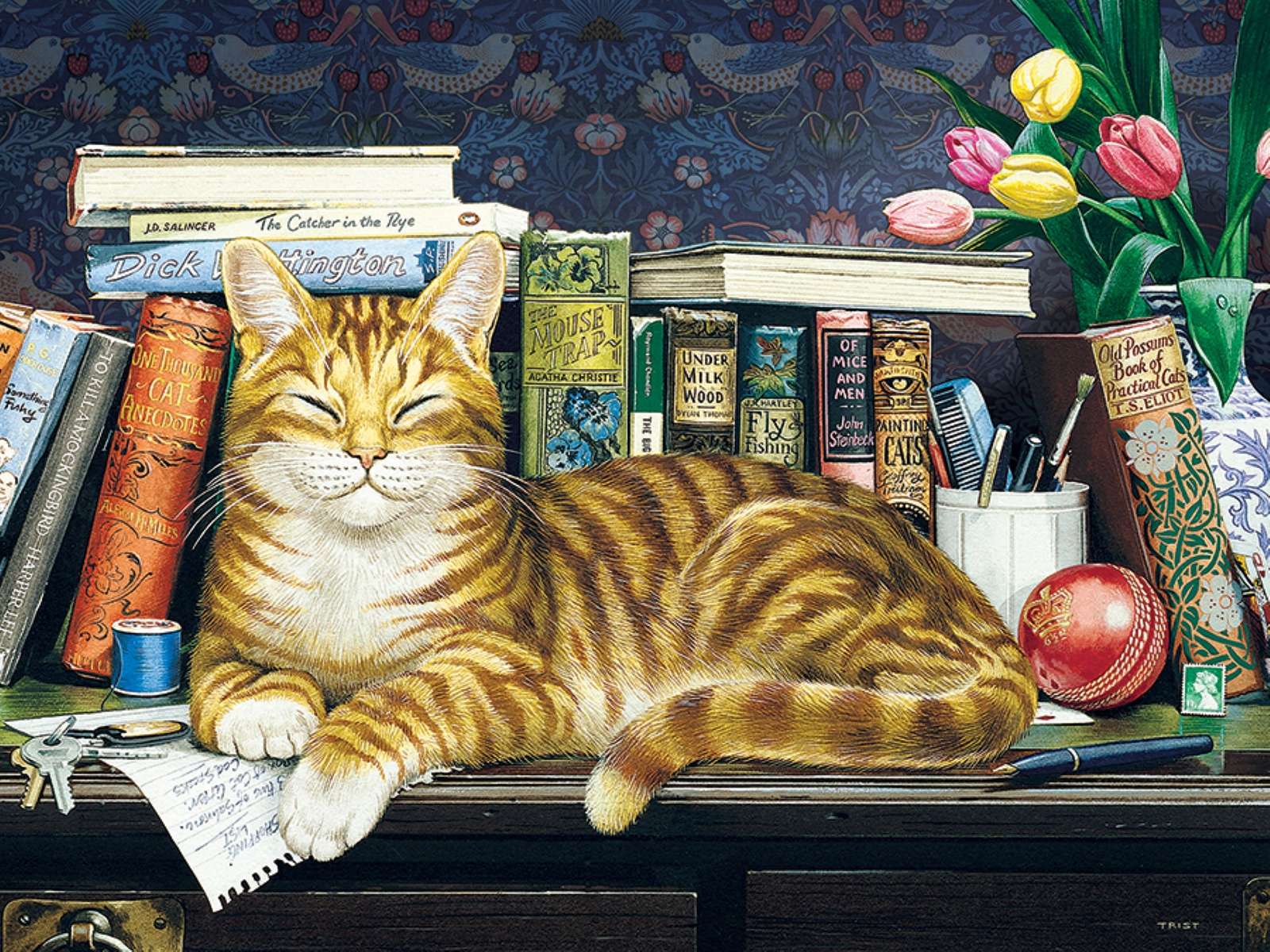 kot przed książkami na półce puzzle online