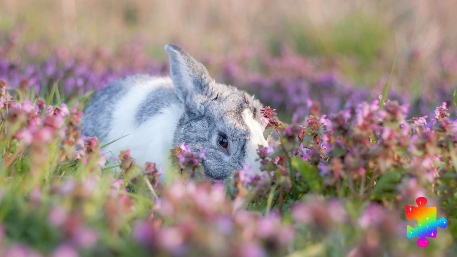 Mały króliczek w kwiatach puzzle online