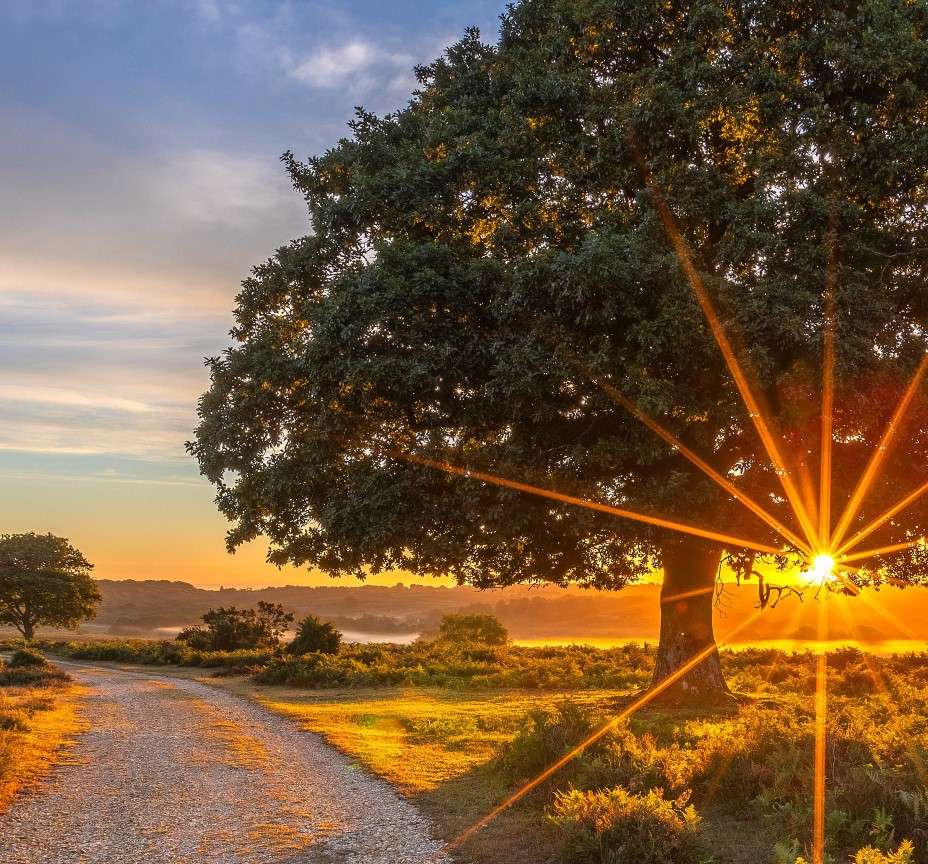 Droga przez pola i blask zachodzącego słońca puzzle online