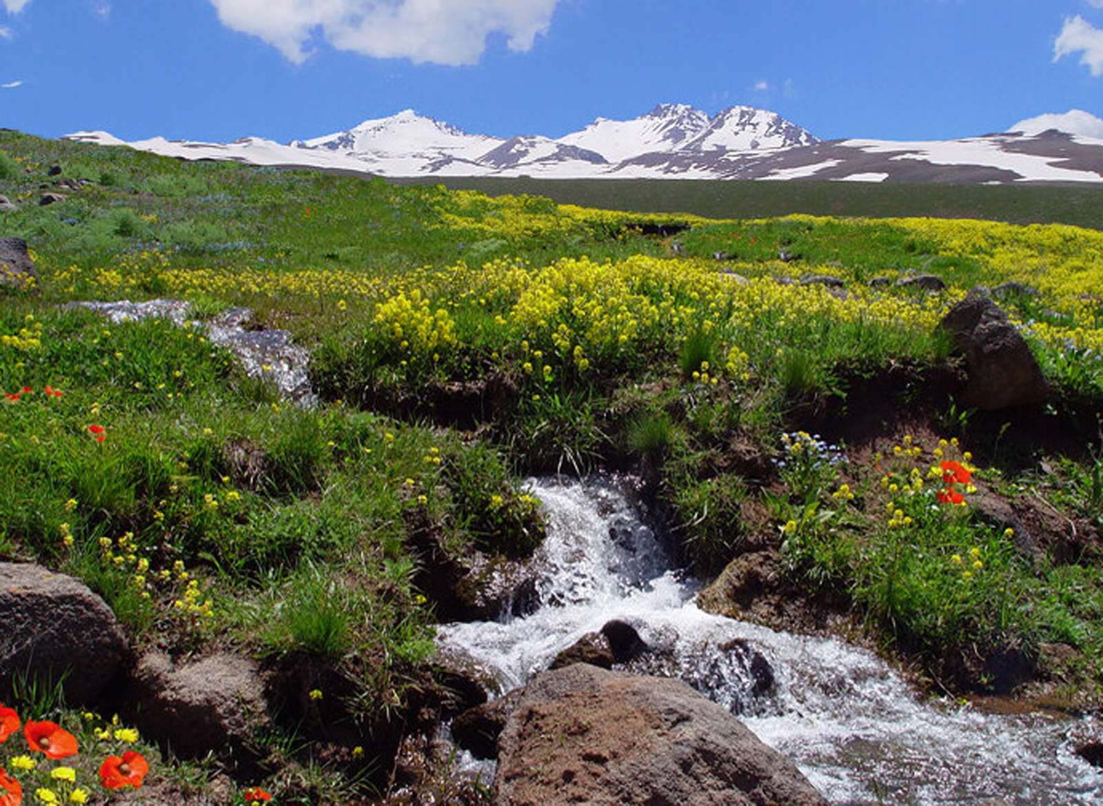 Górski strumień w Armenii puzzle online