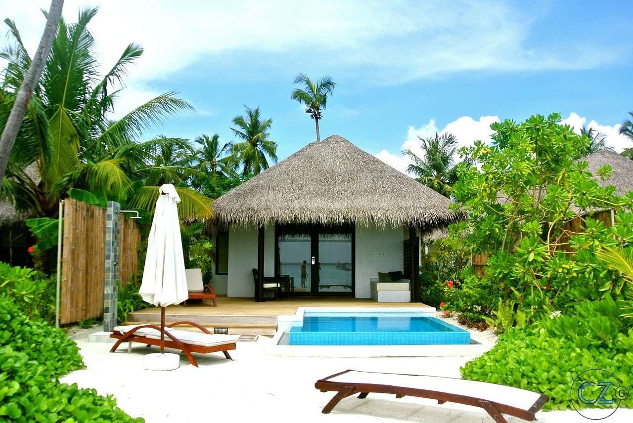 Malediwy, drzewo kokosowe, morze puzzle online