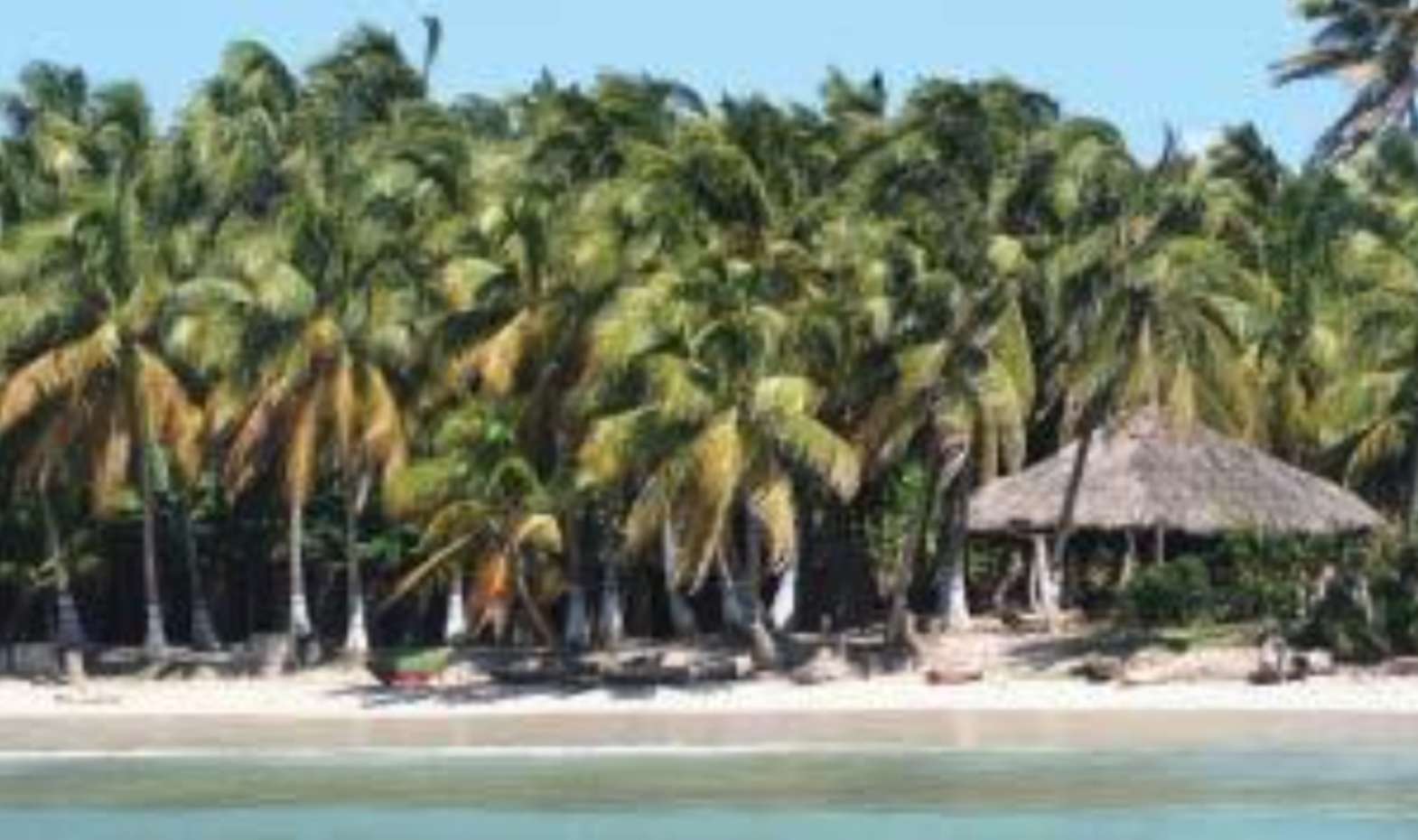 Piękna Tropikalna Plaża Haiti puzzle online