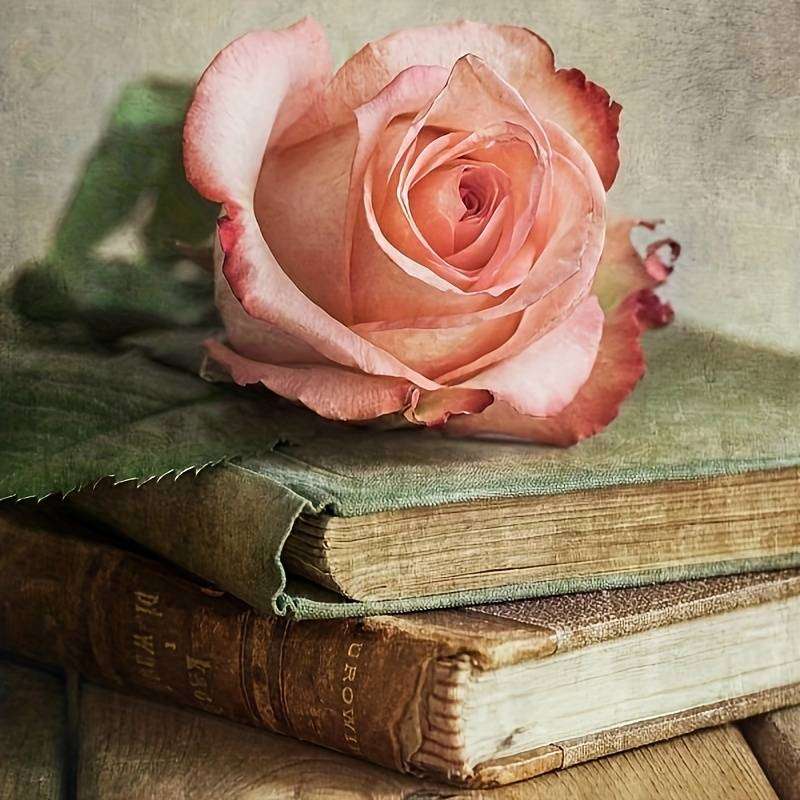 róża dla czytelnika puzzle online