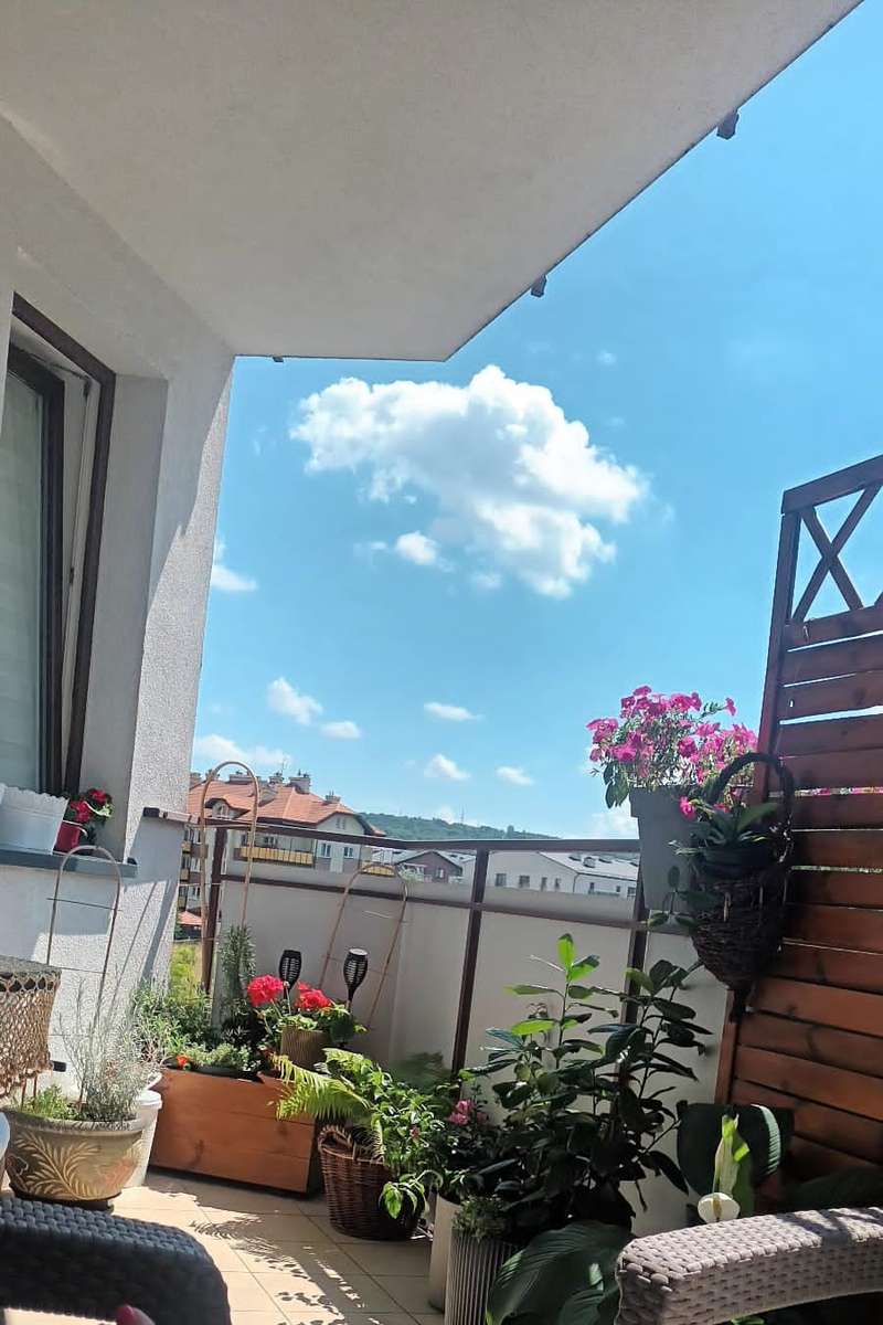 kwiatki na balkonie widok na chmury puzzle online