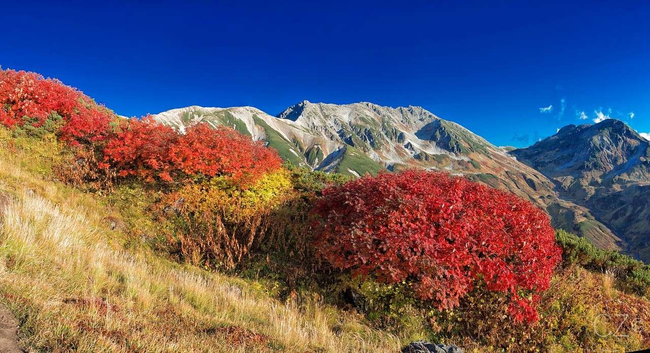 Górzysty krajobraz, jesienne liście, jesień puzzle online