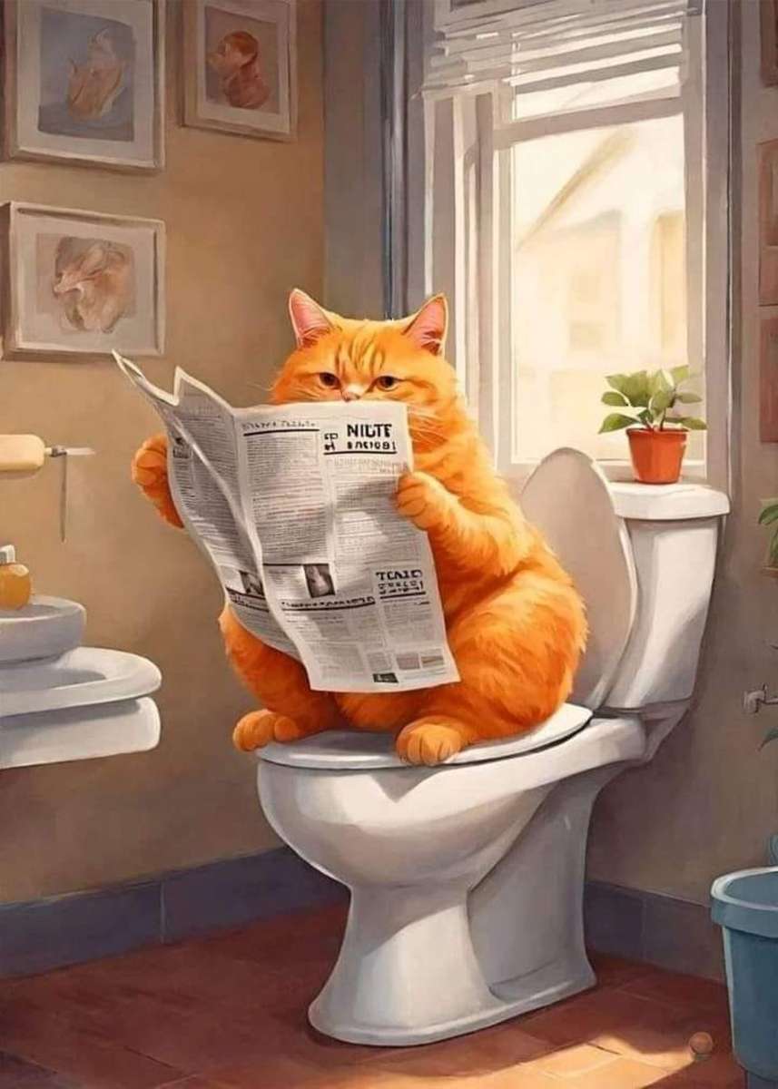 kot w toalecie puzzle online