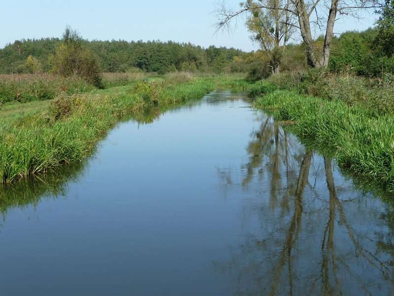 Rzeka Sanna, Lubelskie puzzle online