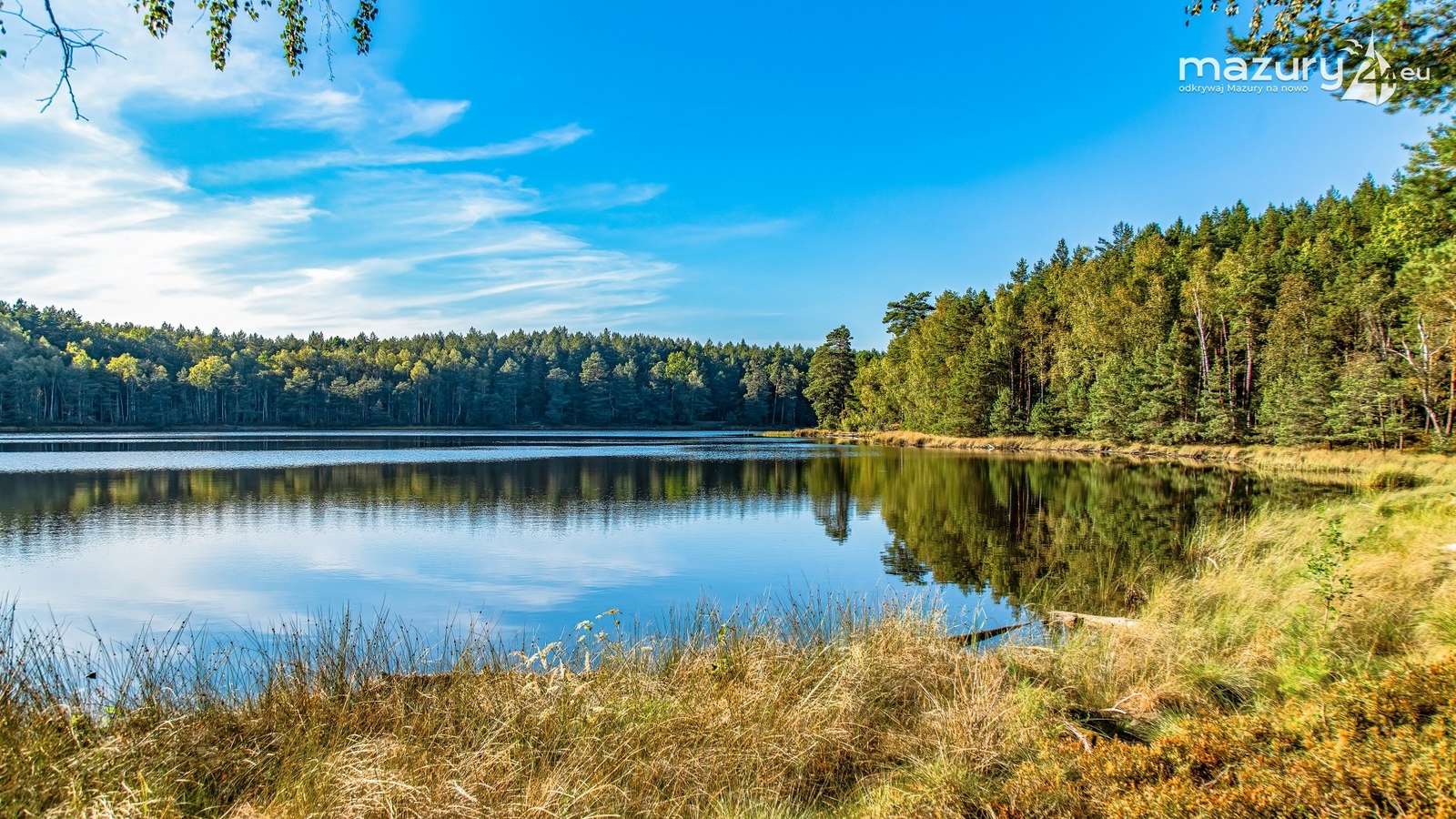 Jezioro Wesołek, lato puzzle online