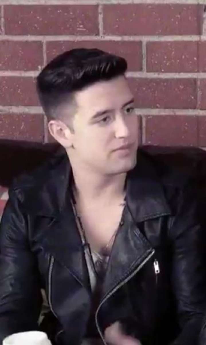 Logan Henderson puzzle online