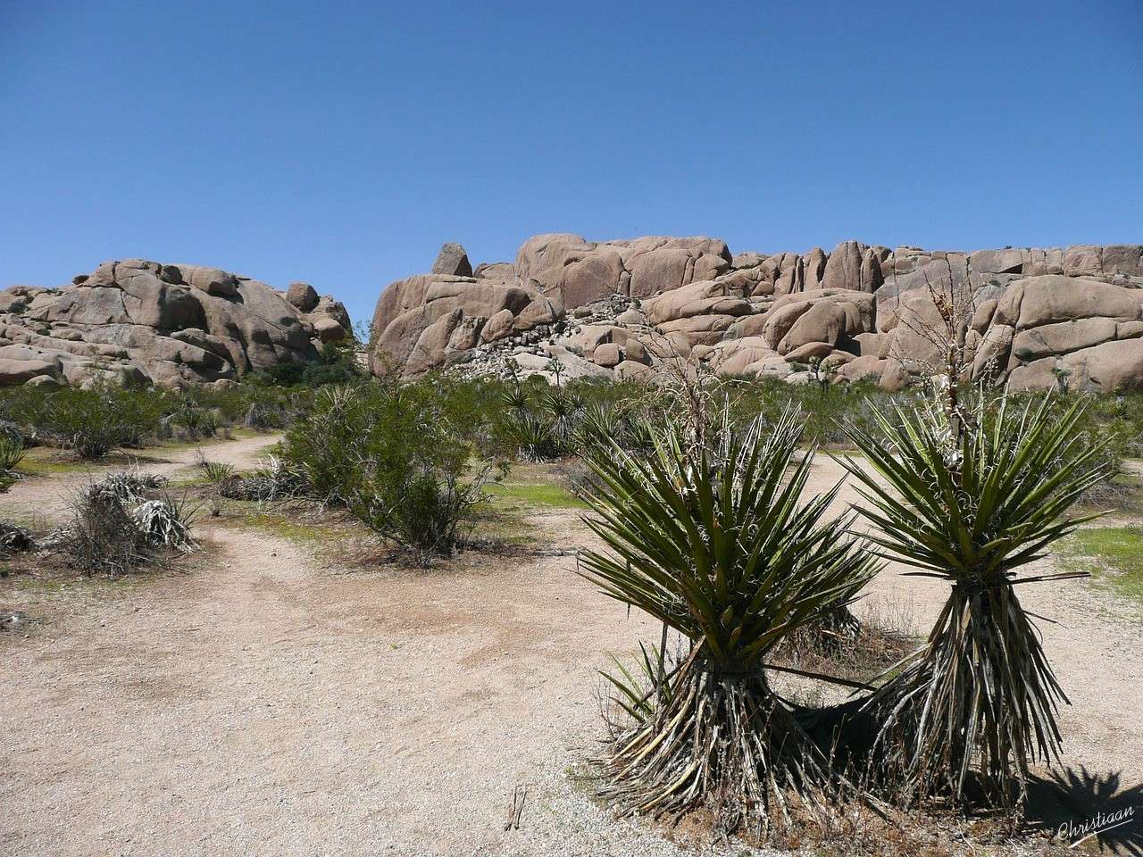 Park Narodowy Joshua Tree, krajobraz, przyroda puzzle online