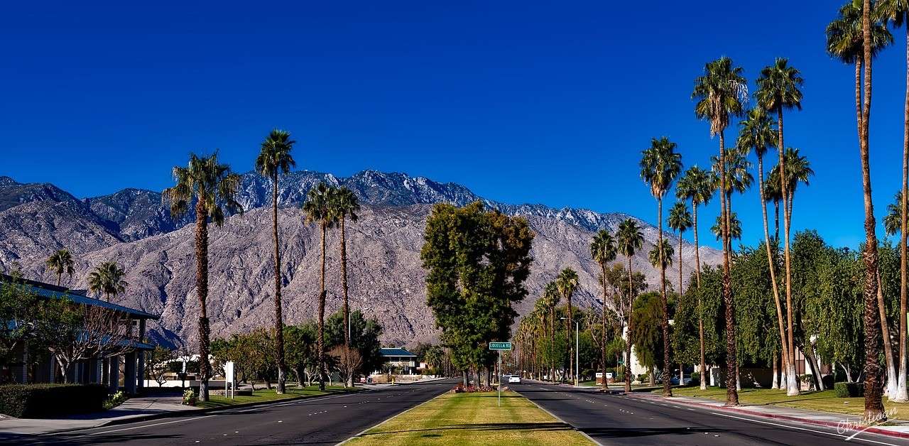 Palm Springs, Kalifornia, palmy. puzzle online