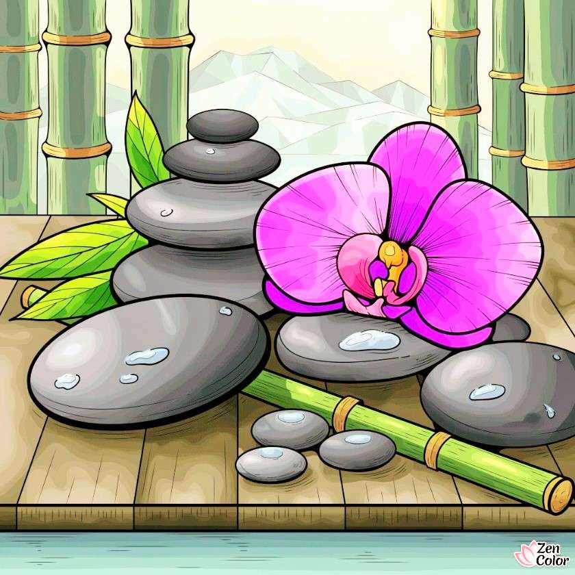 Kolor zen puzzle online