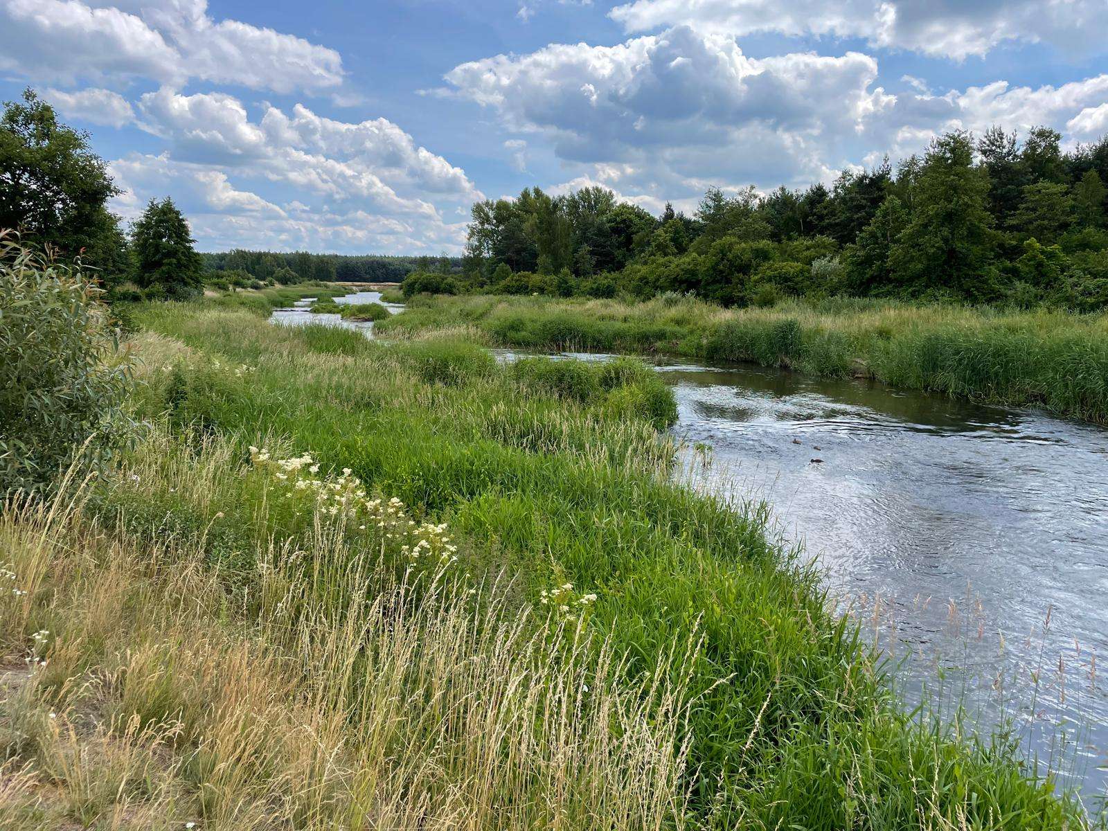 polska przyroda i rzeczka puzzle online