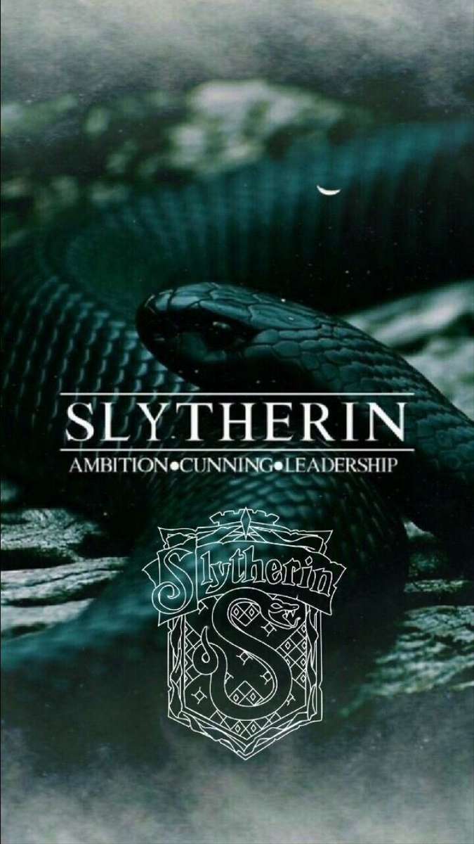 Slytherin puzzle online