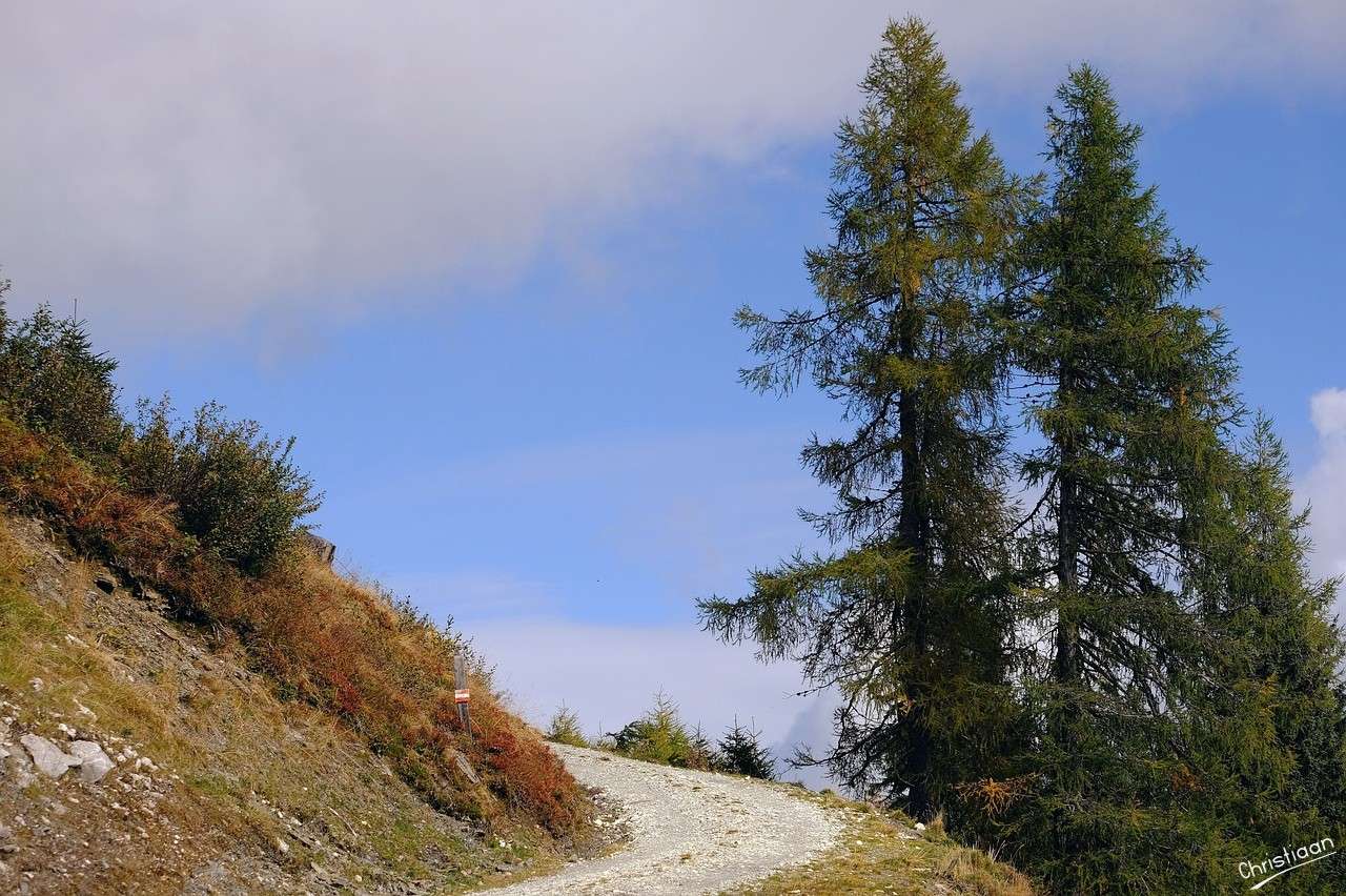 Ścieżka, Góra, Natura, Widok. puzzle online