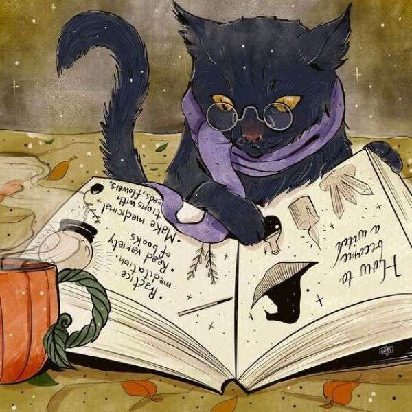 Cat witch magic book. puzzle online