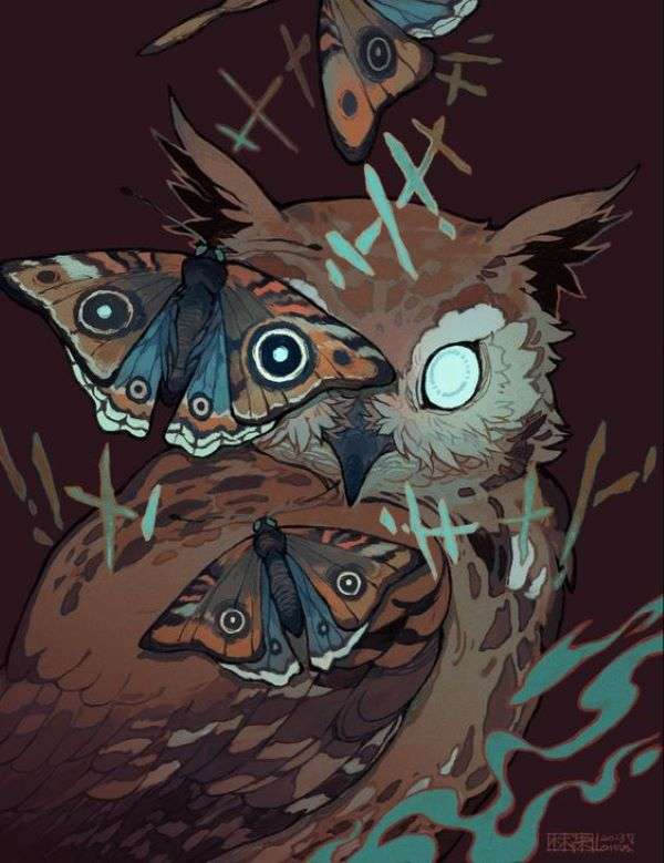 owl and butterflies puzzle online