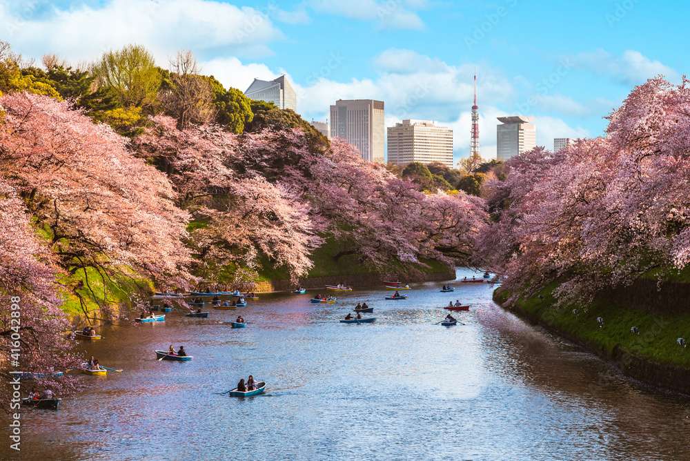 Fosa Chidorigafuchi, Tokio Japonia puzzle online