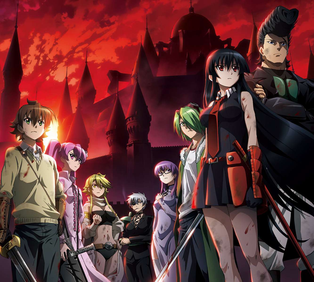 Akame Ga zabij puzzle online