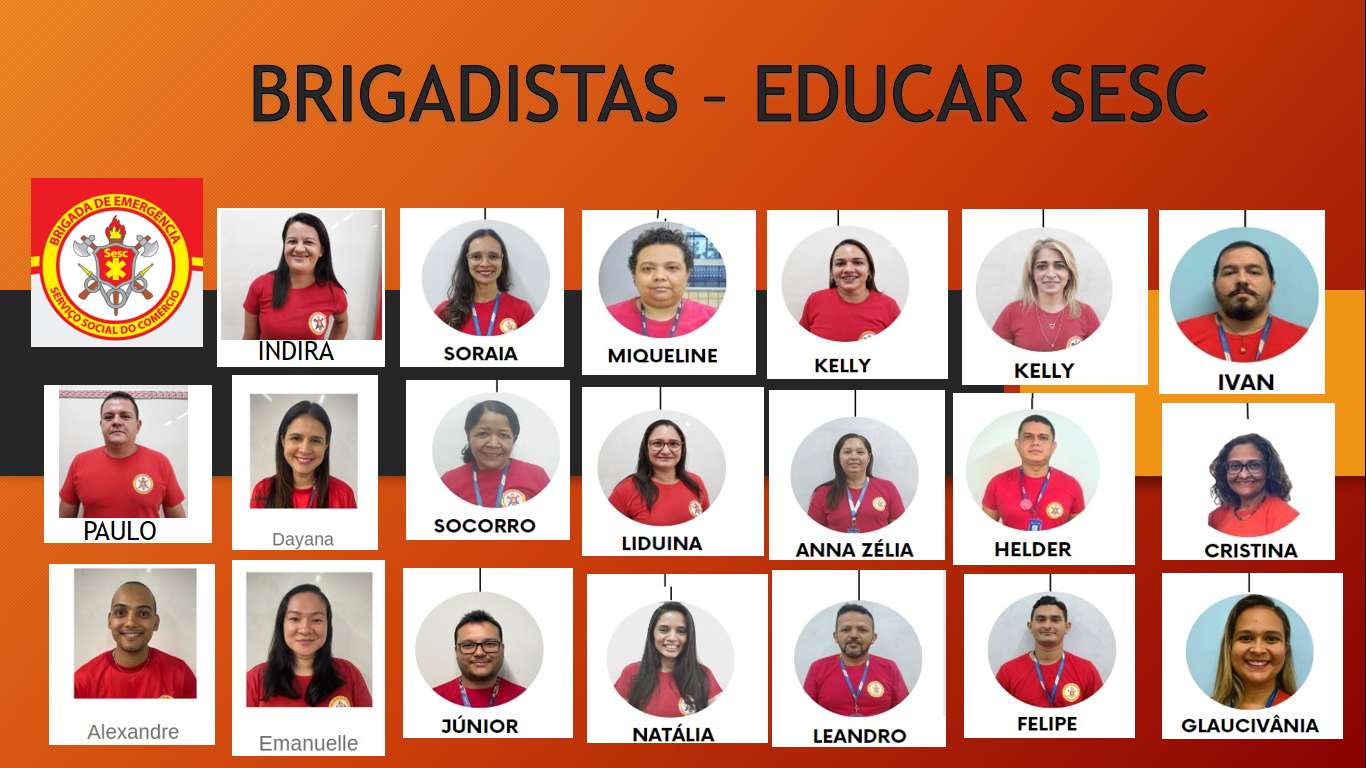 BRIGADISTAS EDUCAR SOBRAL puzzle online