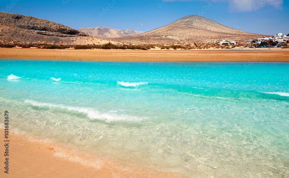 Plaża na Wyspie Fuerteventura, Wyspy Kanaryjskie puzzle online