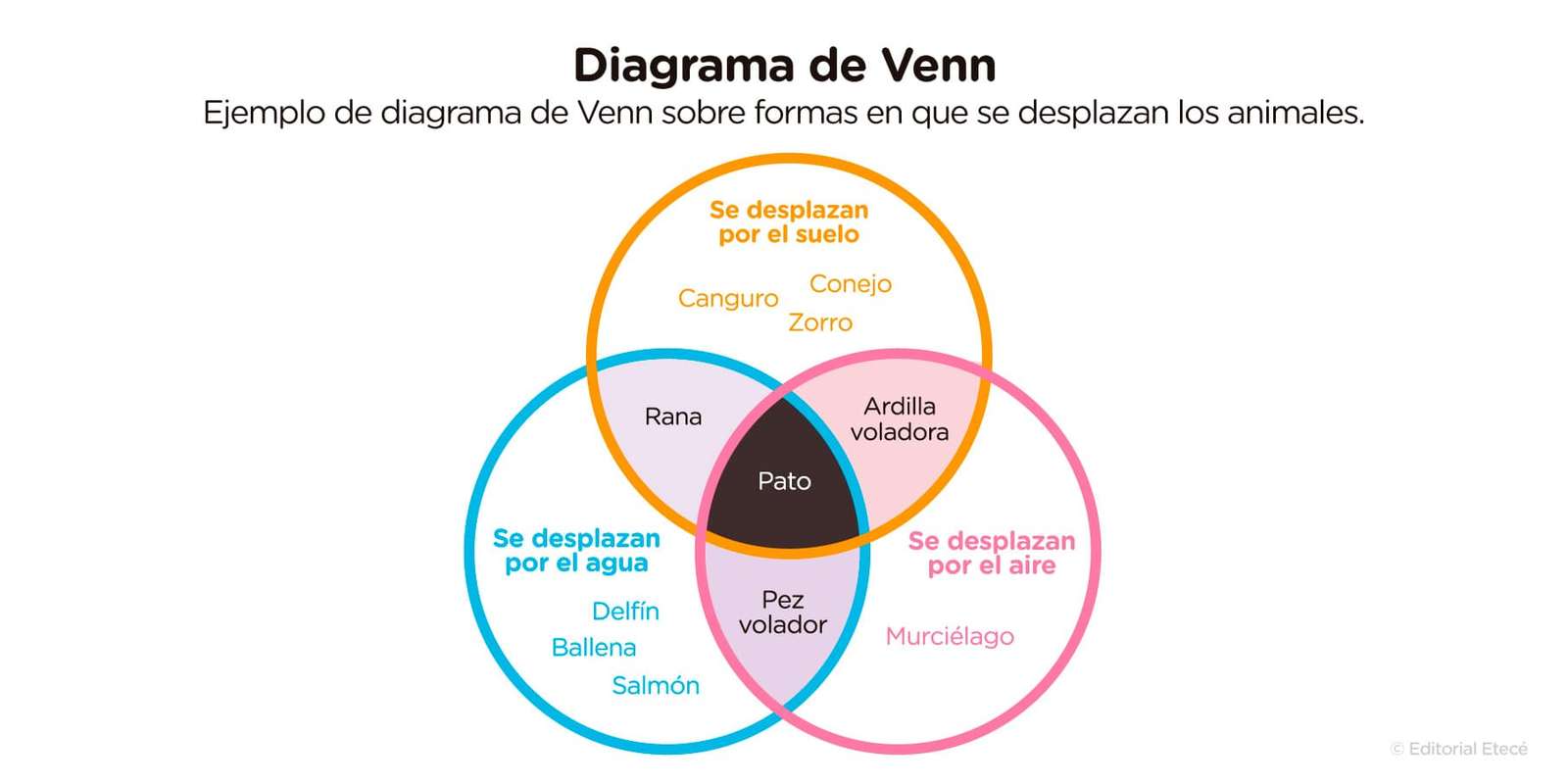 diagram Venna puzzle online