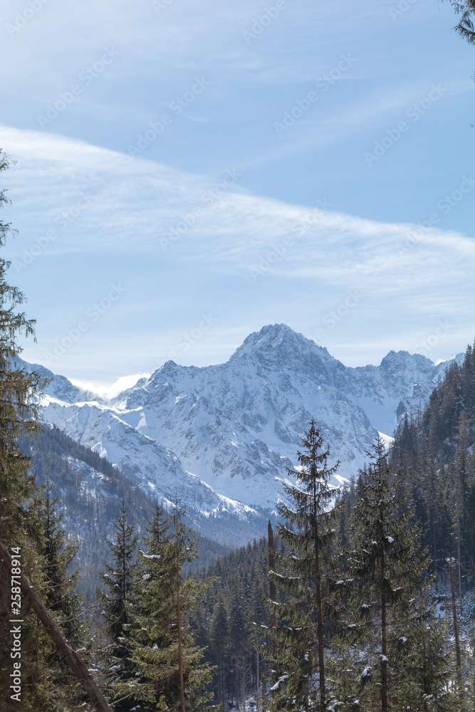 Góry Tatry Zakopane Zimą Polska puzzle online