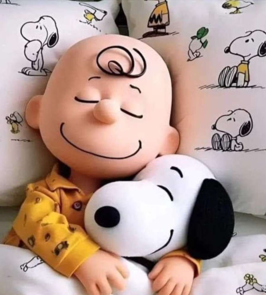 Charlie i Snoopy idą razem na drzemkę puzzle online